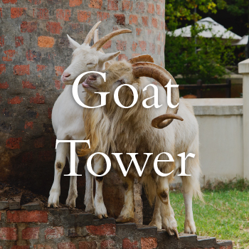 goat tower