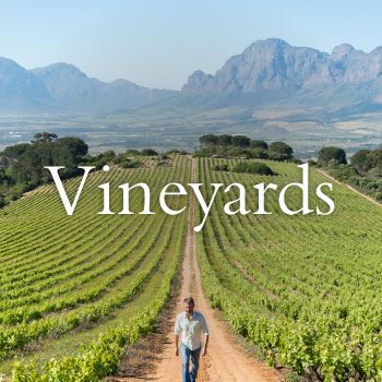 fairview vineyards