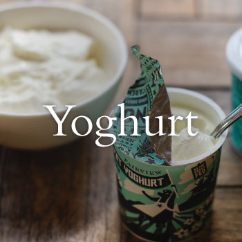 fairview yoghurt