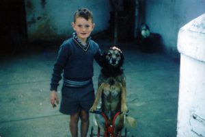 Winery worker sorting grapes