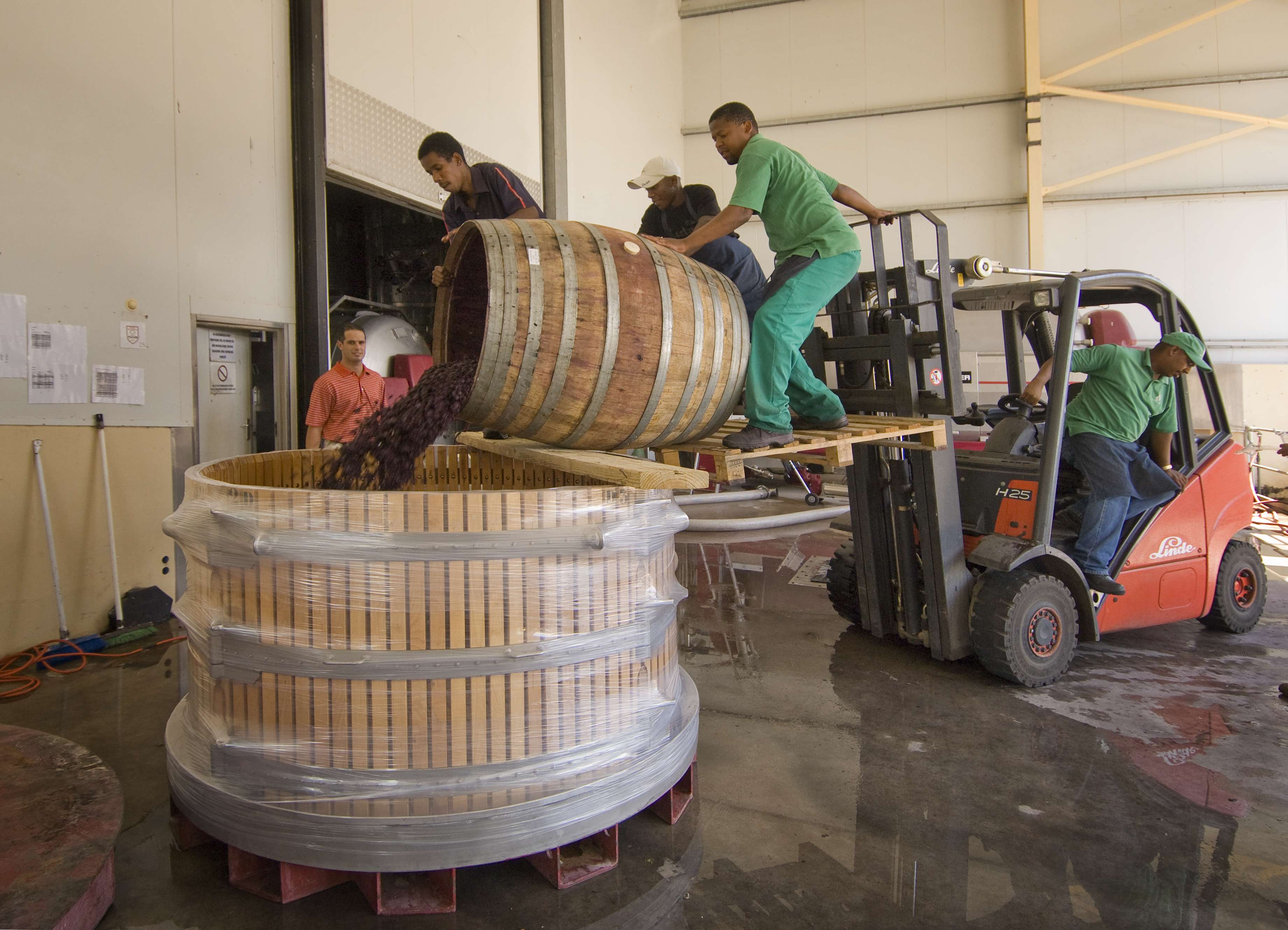 Fairview Harvest 2017