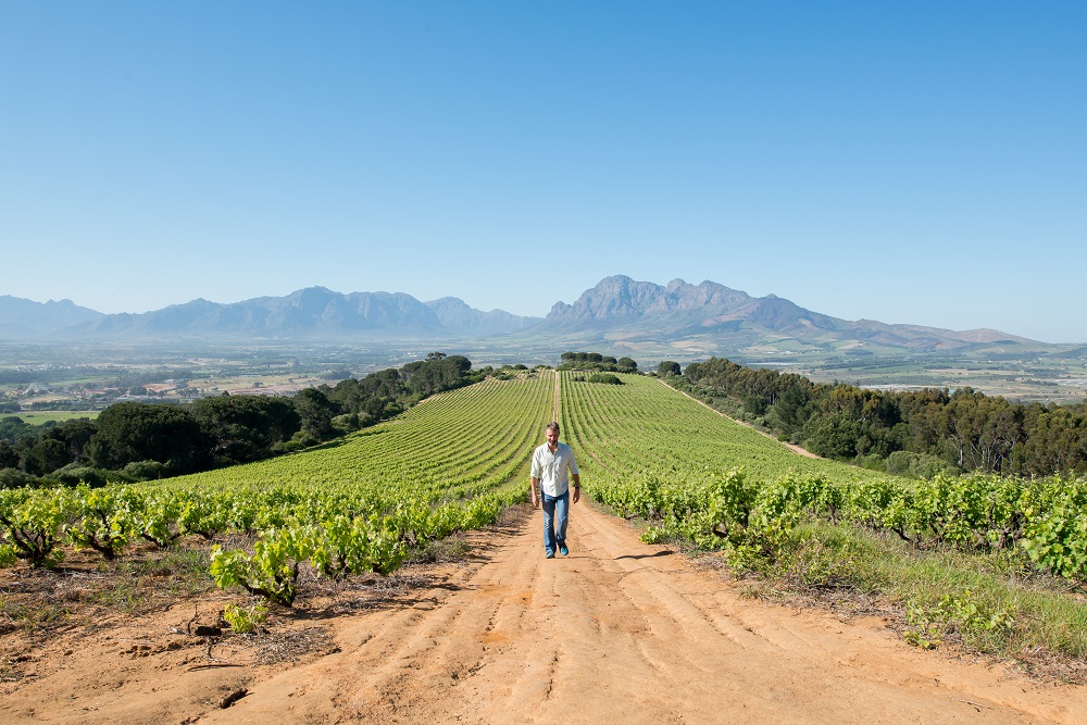 Fairview Vineyards