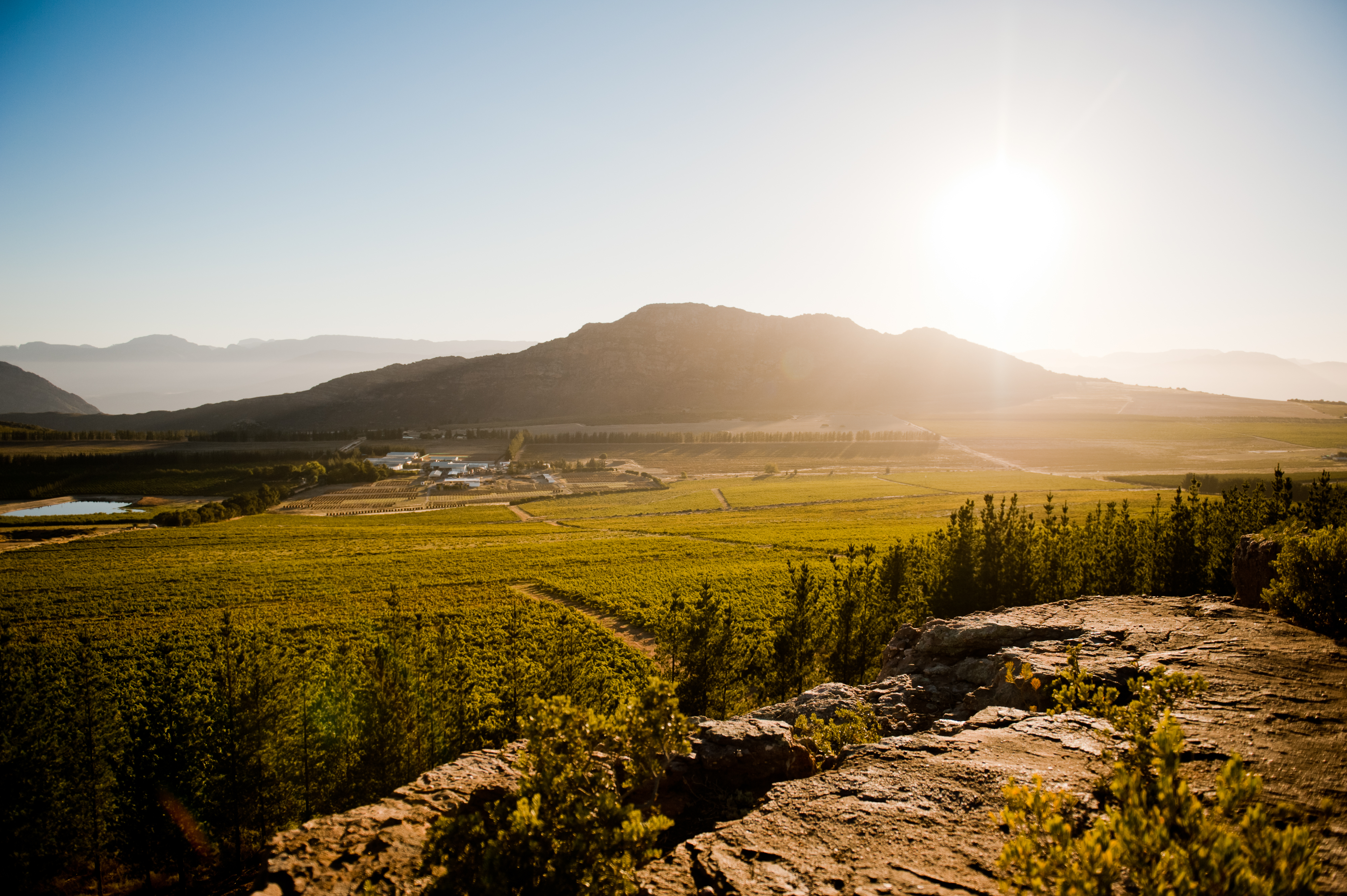 Piekenierskloof