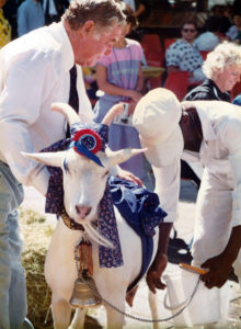 Fairview Cheese History