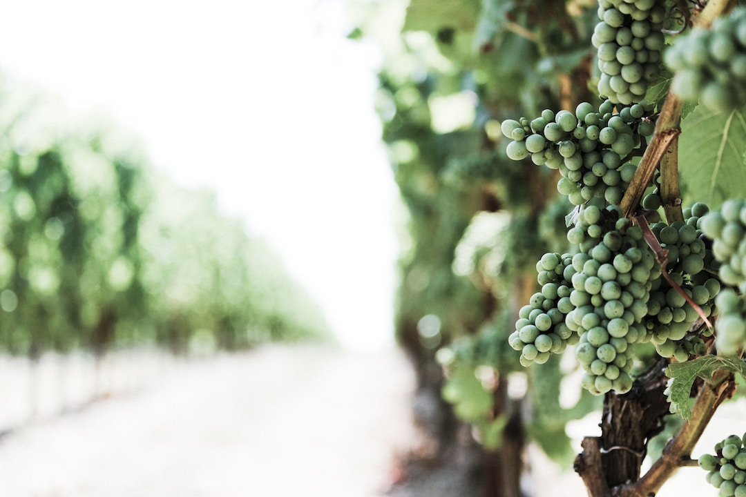 Fairview Viognier 20 years