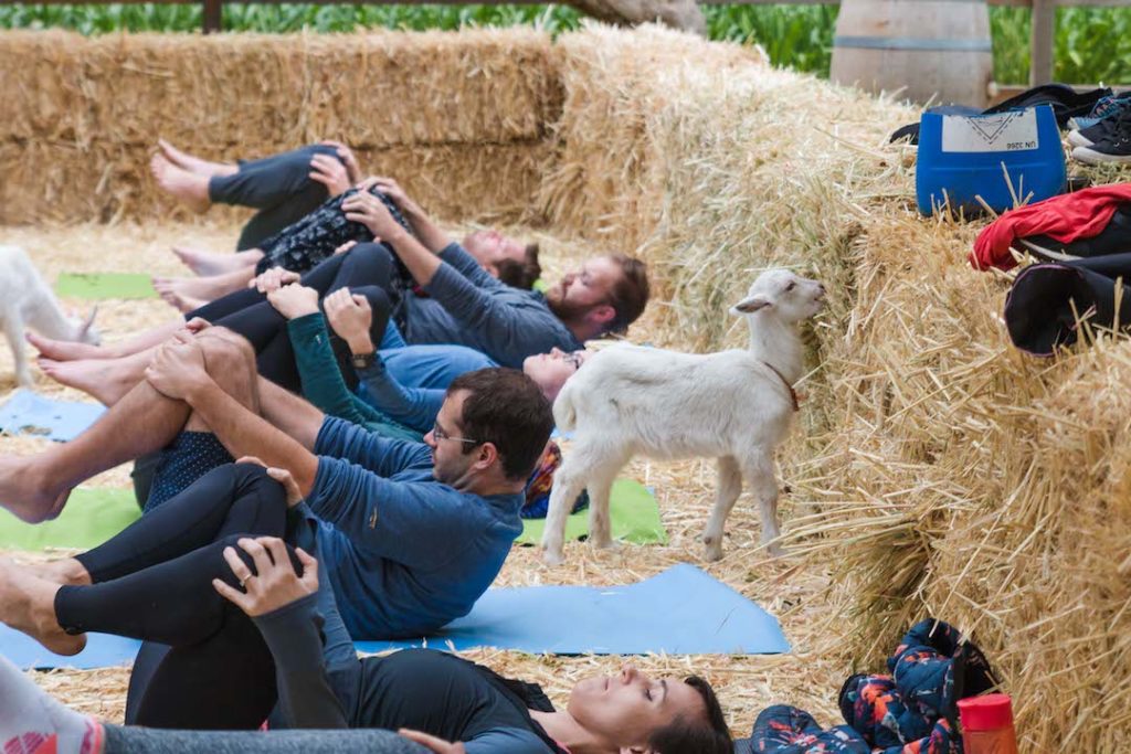 Fairview Goat Yoga