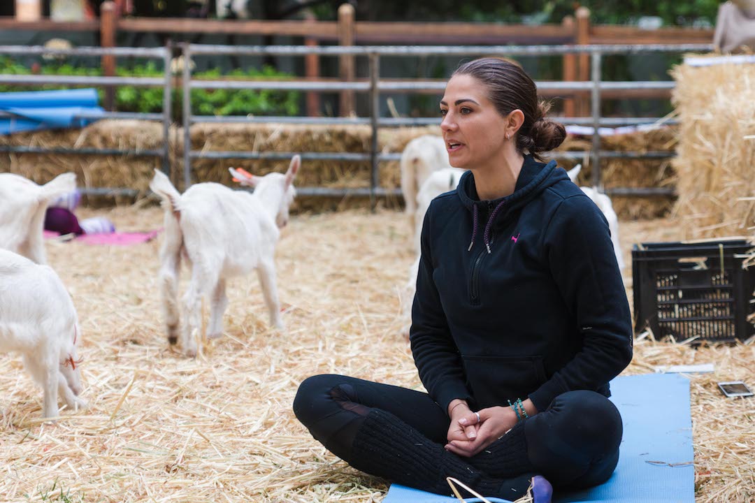 Fairview Goat Yoga