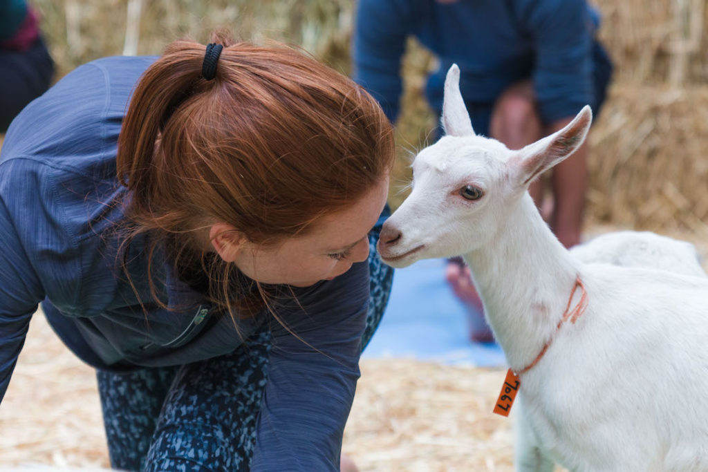 Fairview Goat Yoga