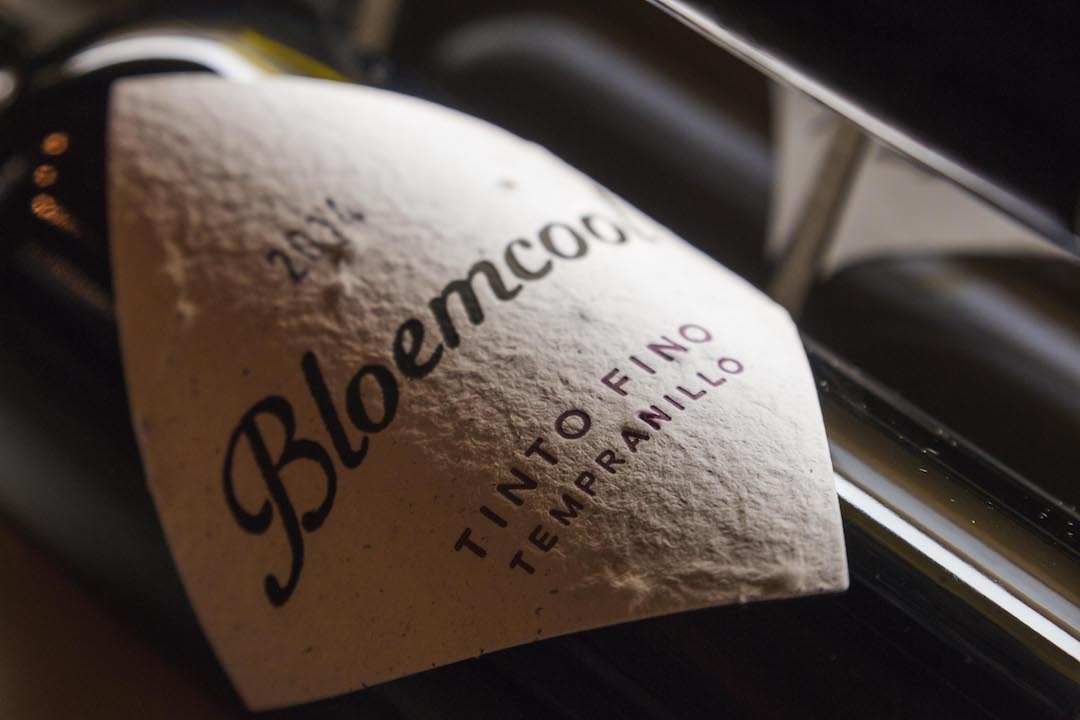 Bloemcool Tinto Fino Tempranillo
