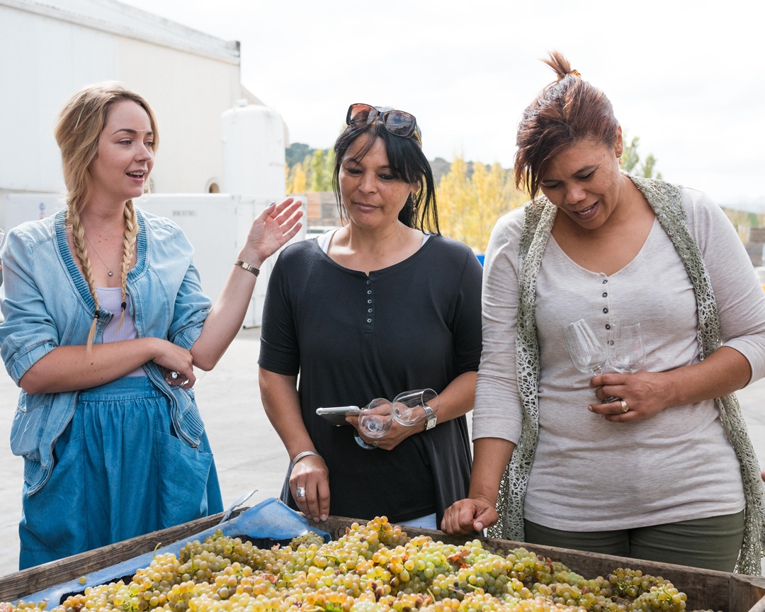 Fairview Cellar Tour