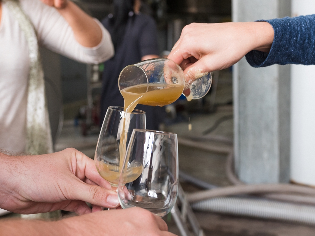 Fairview Cellar Tour