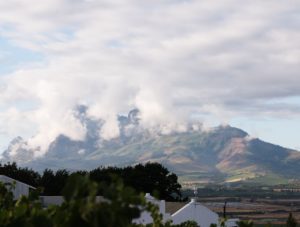How to Farm in a Drought