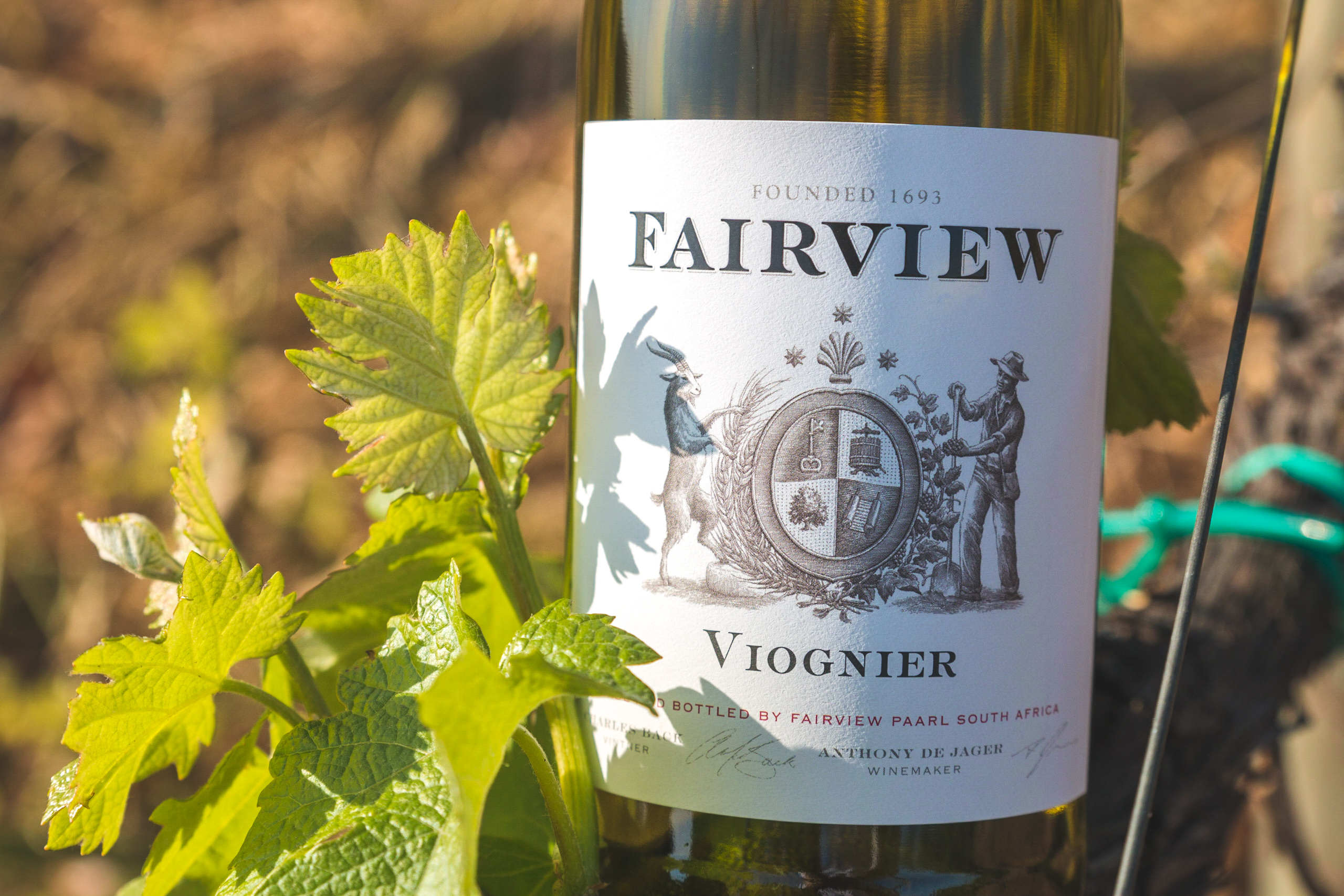Fairview Viognier Mother Block