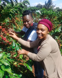 Africa Fairtrade Convention Fairview