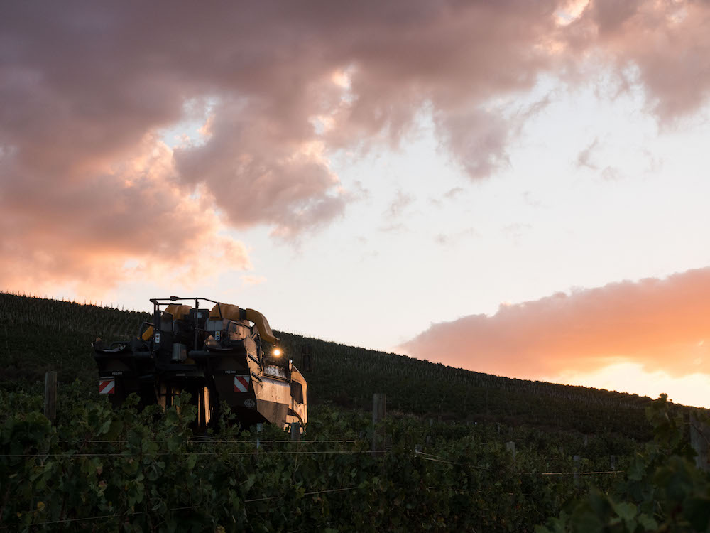 All Things Harvest 2019
