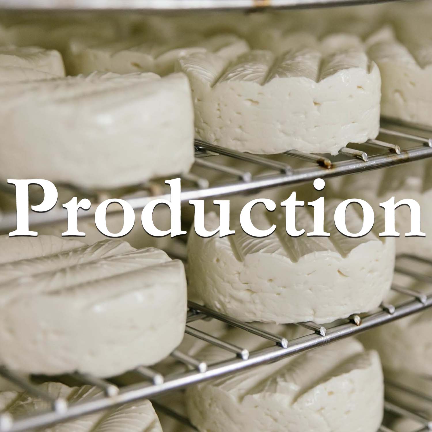 Cheese Production