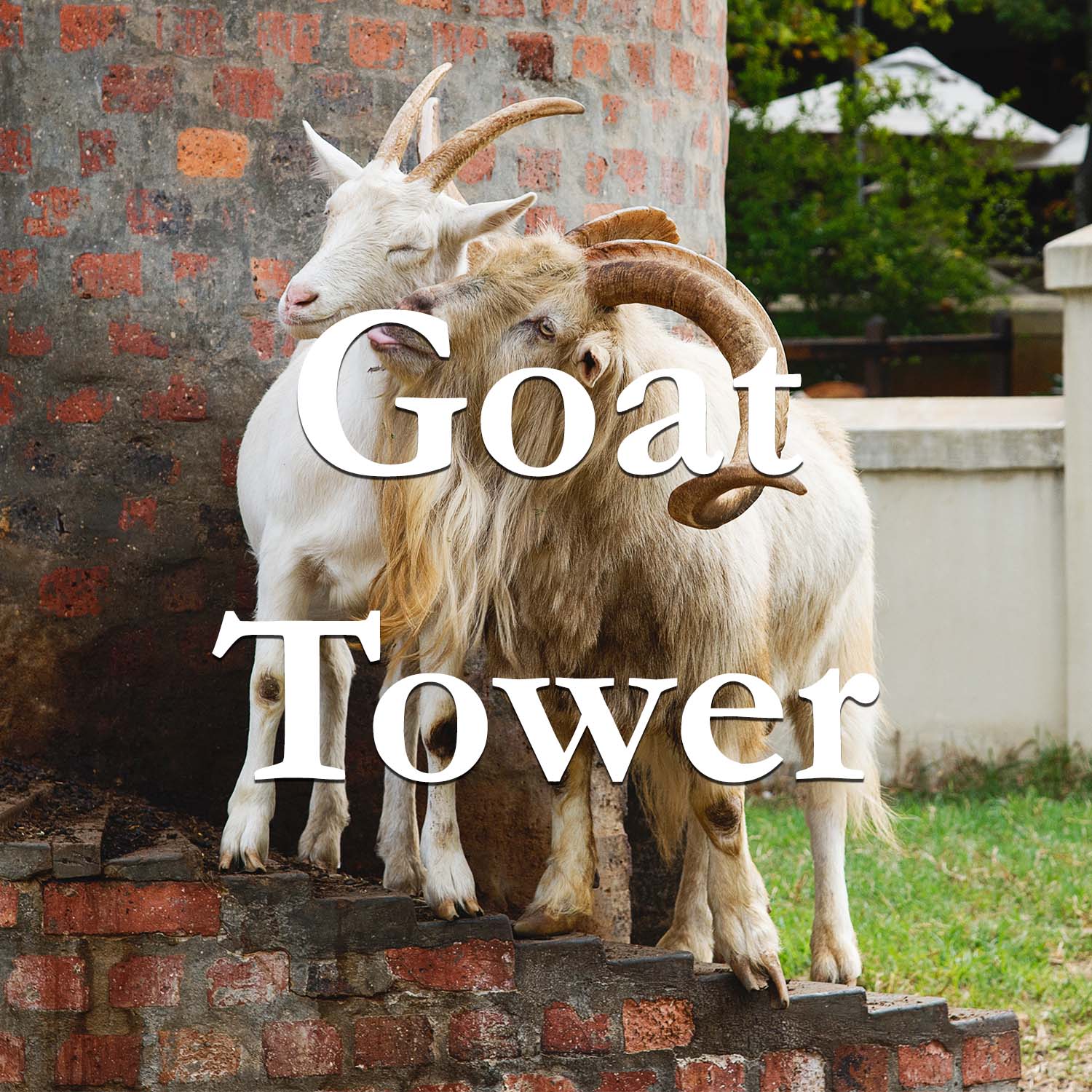 Goat Tower
