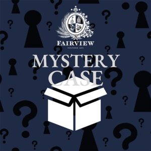 Mystery Case 1 - January 2026